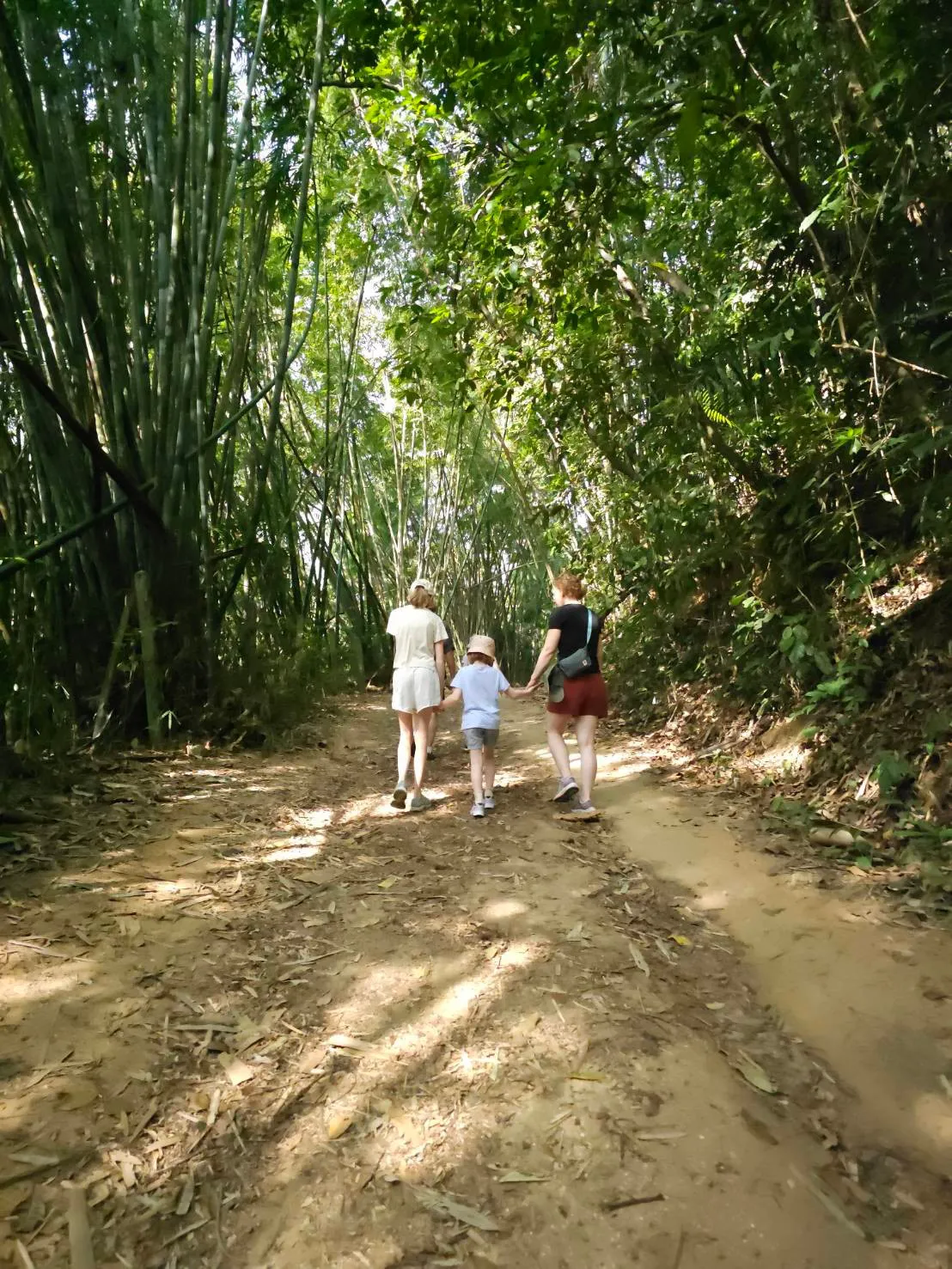 Jungle Adventure – Walk Into the Wild