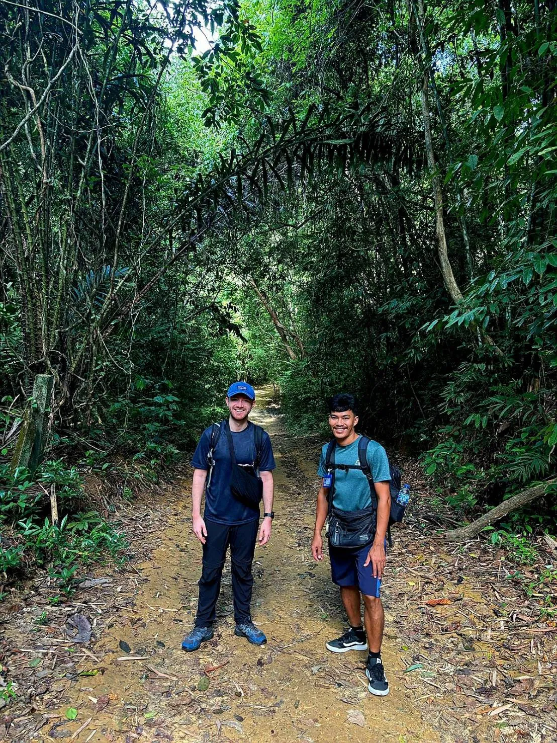 Jungle Adventure – Walk Into the Wild