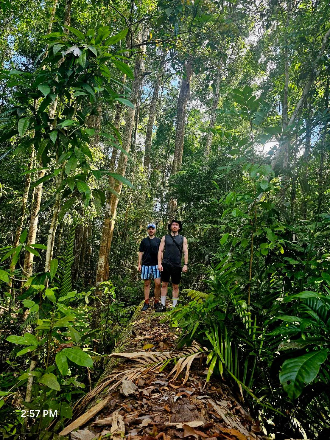 Jungle Adventure – Walk Into the Wild