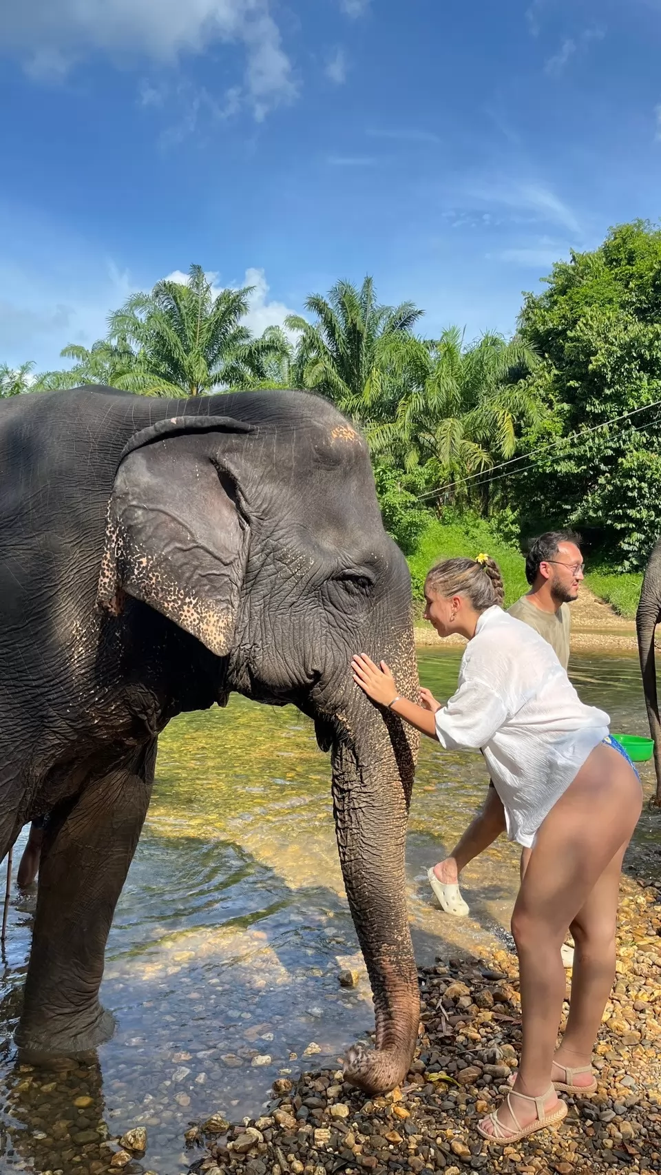 Khao Sok & Cheow Lan Lake Nature & Wildlife Experience 