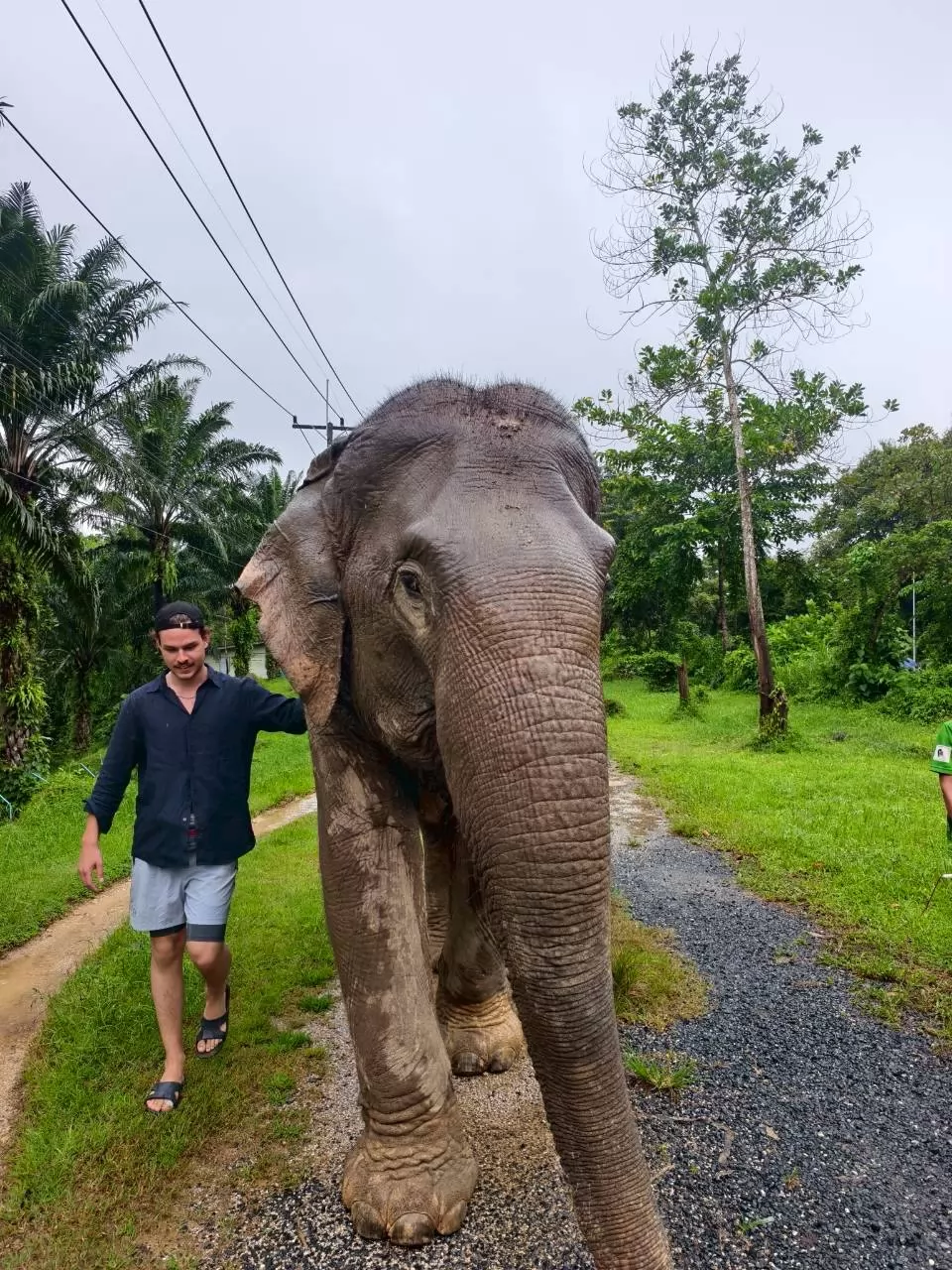 3 Days 2 Nights For 2 People Khao Sok & Cheow Lan Lake Explorer