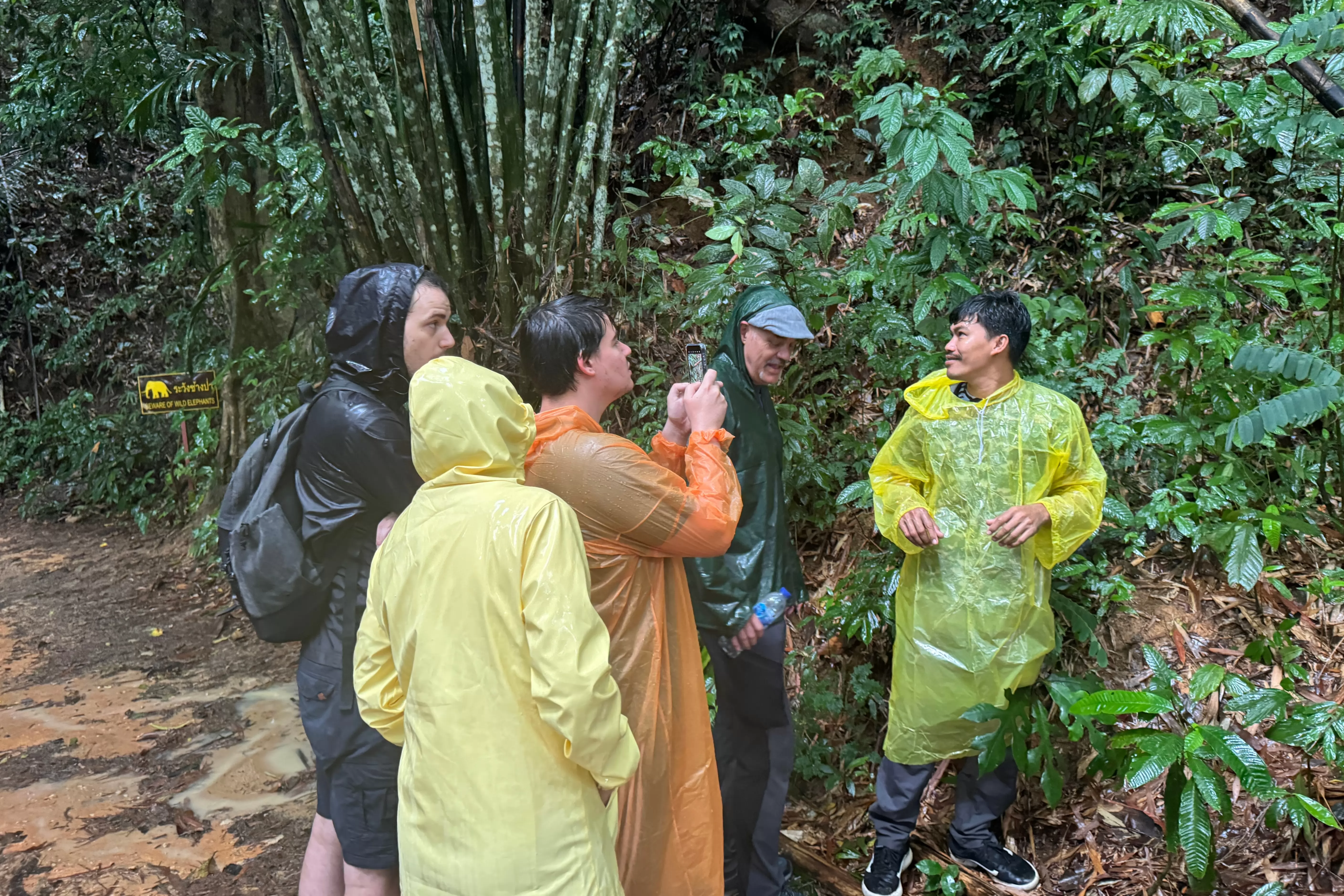 Jungle Adventure – Walk Into the Wild