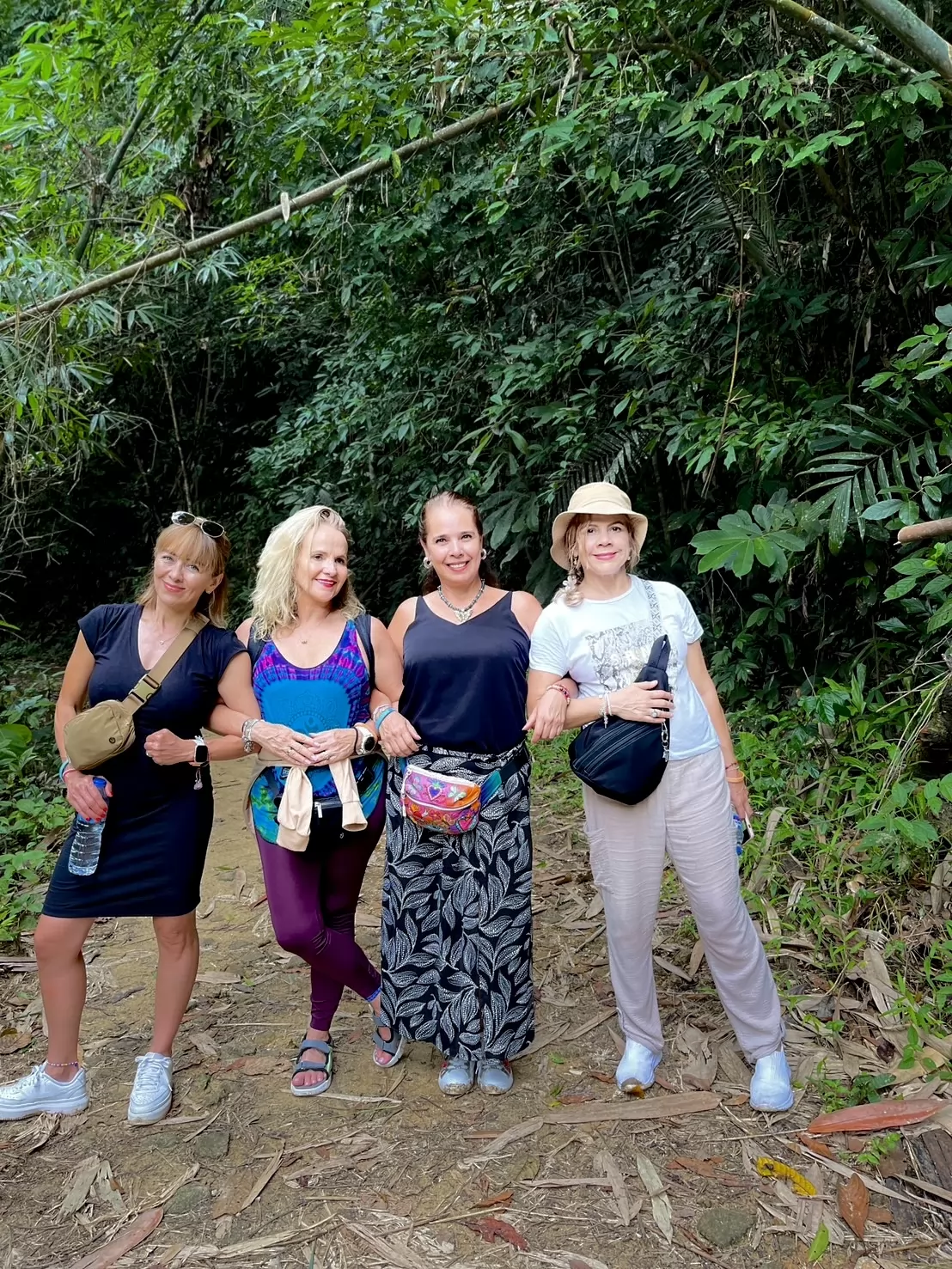 Jungle Adventure – Walk Into the Wild