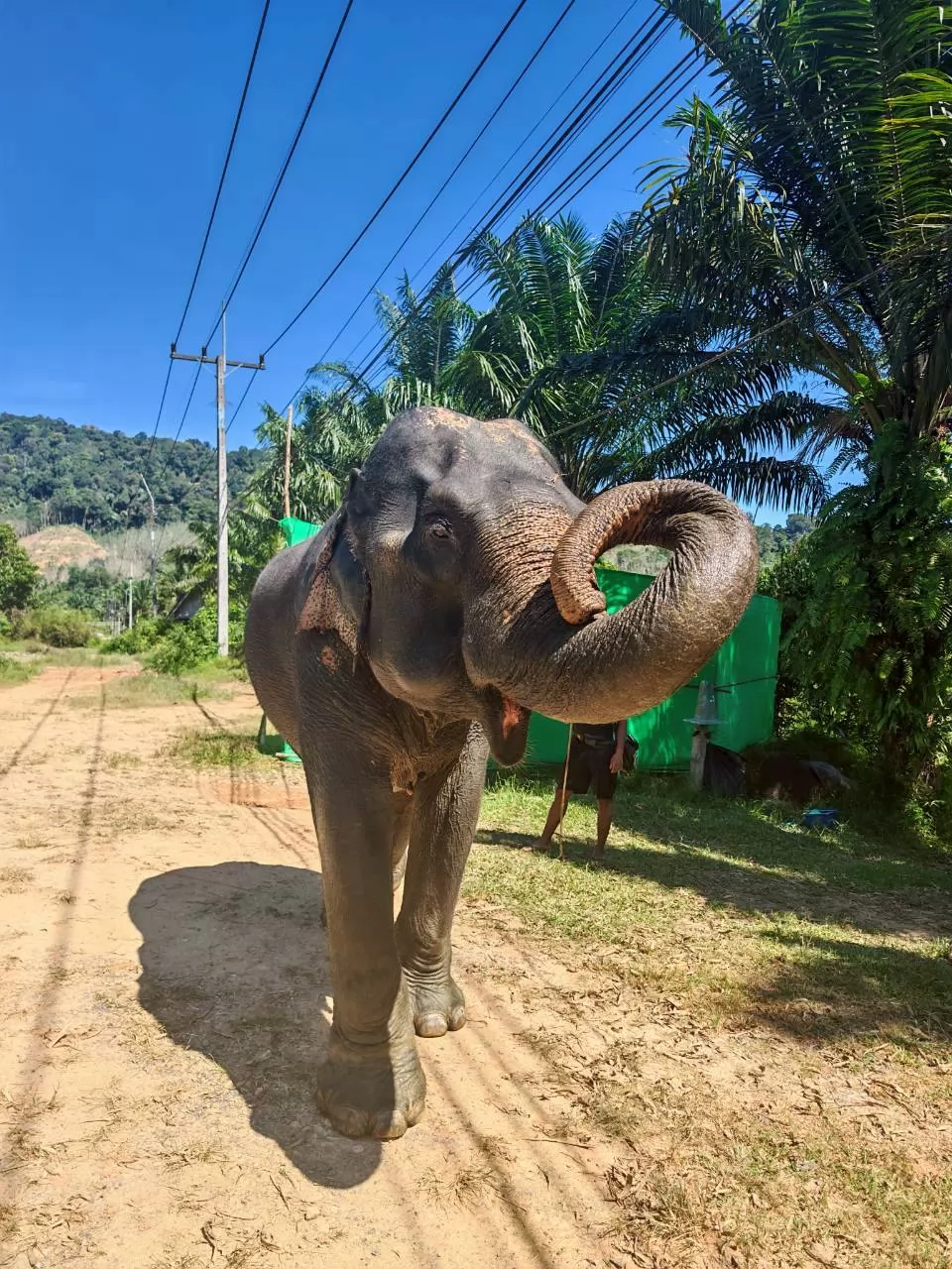 Overnight Khao Sok & Cheow Lan Lake Journey