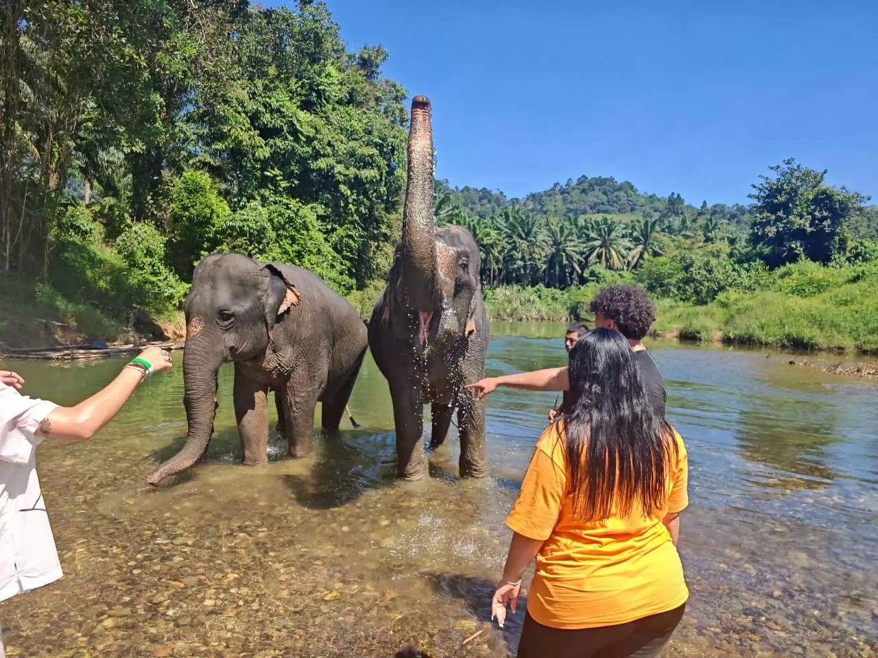 Overnight Khao Sok & Cheow Lan Lake Journey